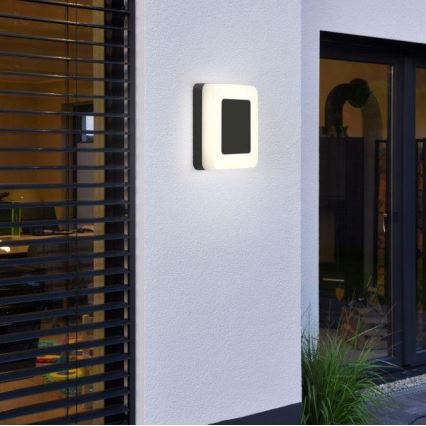 Paul Neuhaus 9491-13 - LED Vonkajšie svietidlo FABIAN LED/12,6W/230V IP54