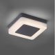 Paul Neuhaus 9491-13 - LED Vonkajšie svietidlo FABIAN LED/12,6W/230V IP54