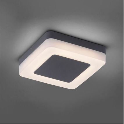 Paul Neuhaus 9491-13 - LED Vonkajšie svietidlo FABIAN LED/12,6W/230V IP54