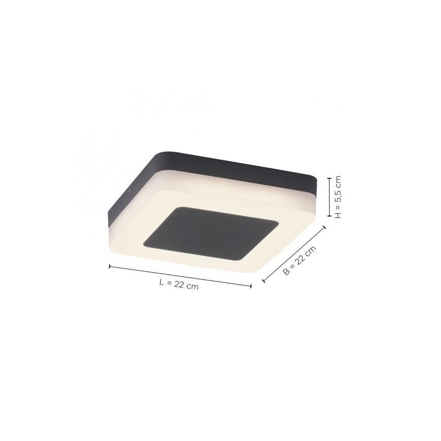 Paul Neuhaus 9491-13 - LED Vonkajšie svietidlo FABIAN LED/12,6W/230V IP54