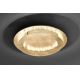 Paul Neuhaus 9621-12 - LED Stropné svietidlo NEVIS LED/24W/230V