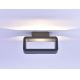 Paul Neuhaus 9668-13 - LED Vonkajšie nástenné svietidlo HENDRIK LED/5,2W/230V IP54