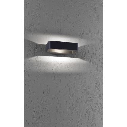 Paul Neuhaus 9668-13 - LED Vonkajšie nástenné svietidlo HENDRIK LED/5,2W/230V IP54