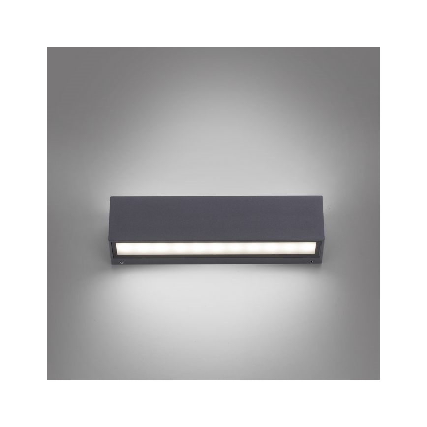 Paul Neuhaus 9675-13 - LED Vonkajšie nástenné svietidlo ROBERT 2xLED/9W/230V IP65