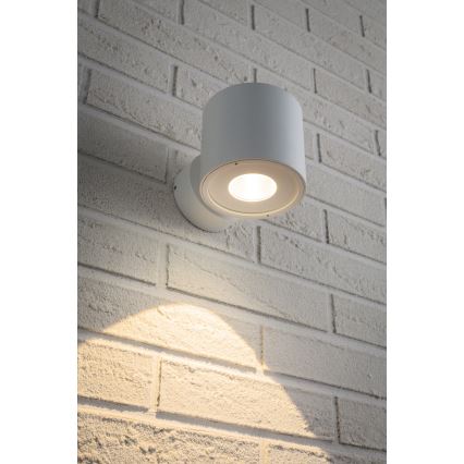 Paulmann 18007 - LED/5W IP44 Vonkajšie nástenné svietidlo FLAME 230V