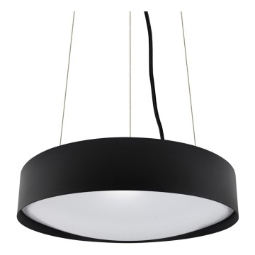 Paulmann 70854 - LED Luster na lanku TWIST LED/24W/230V Paulmann 70854 - LED Luster na lanku TWIST LED/24W/230V