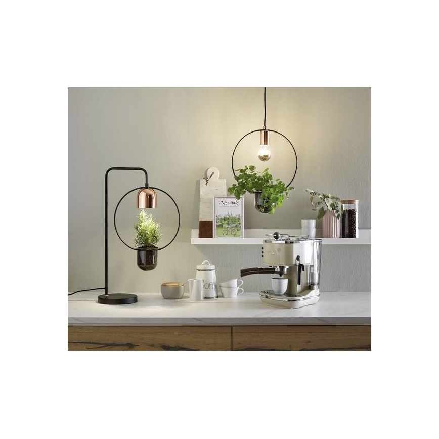 Paulmann 79748 - 1xE27/20W Luster na lanku TASJA 230V