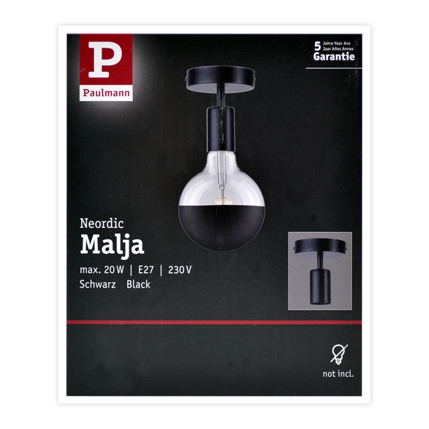Paulmann 79760 - Stropné svietidlo HALDOR 1xE27/20W/230V