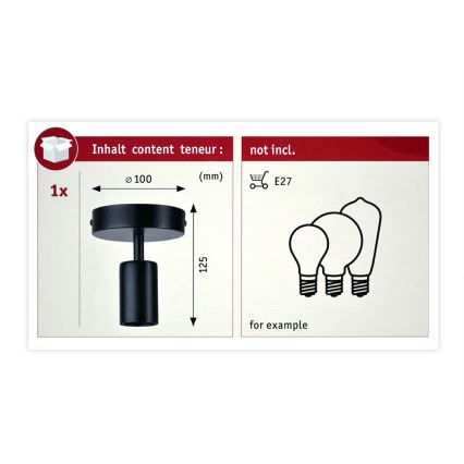 Paulmann 79760 - Stropné svietidlo HALDOR 1xE27/20W/230V