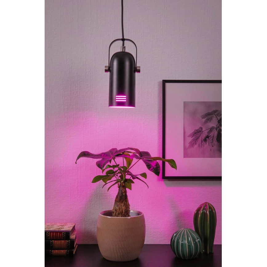 Paulmann 79766 - LED RGBW 1xE27/12W Luster na lankách LAVEA 230V čierny