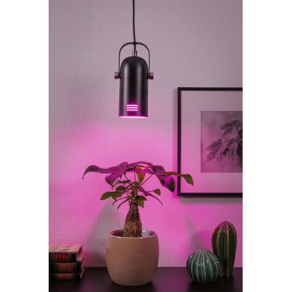 Paulmann 79766 - LED RGBW 1xE27/9W Luster na lankách LAVEA 230V čierny