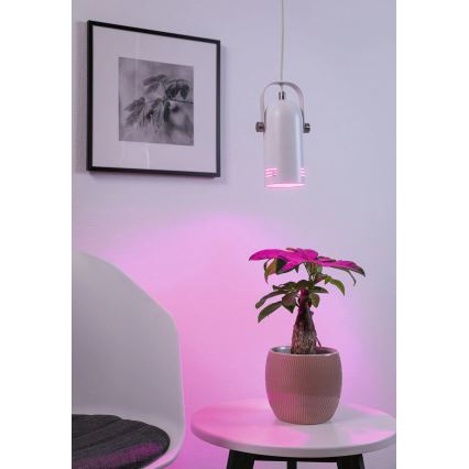 Paulmann 79767 - LED RGBW 1xE27/15W Závesný luster na lanku LAVEA 230V biela