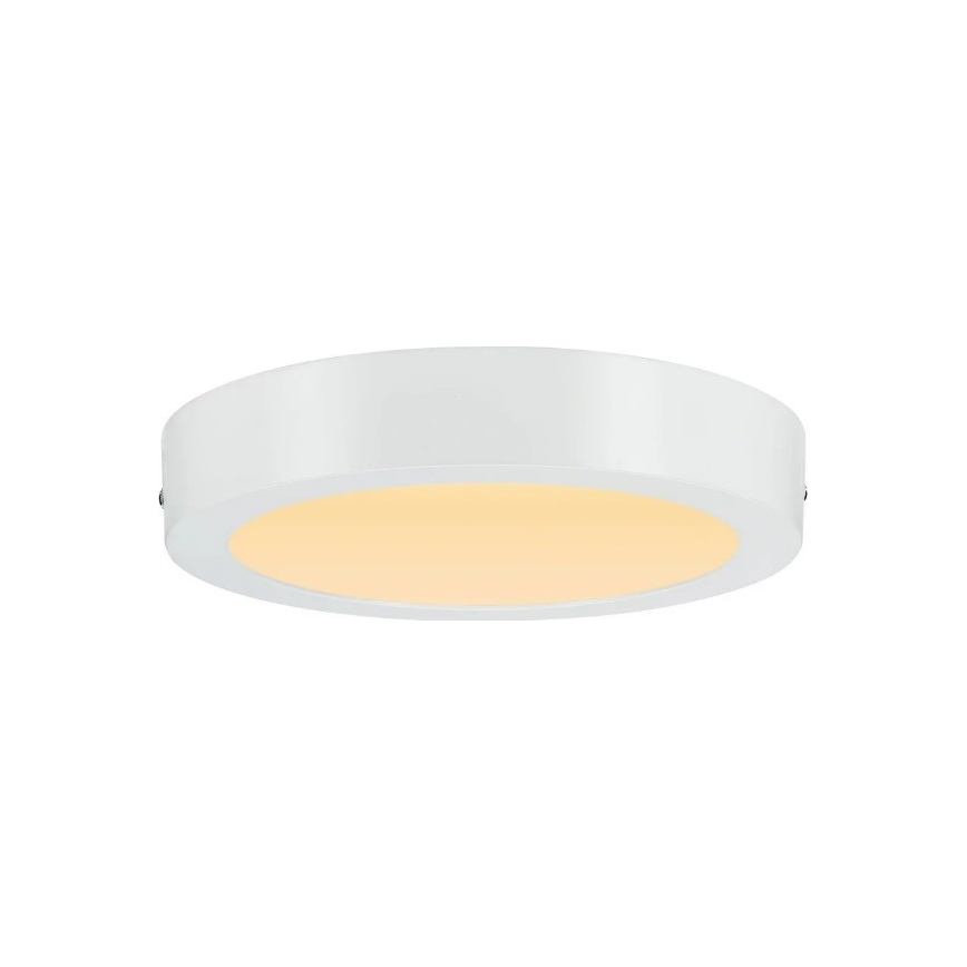 Paulmann 79795 - LED/13W Stropné svietidlo CARPO 230V 2300/2500/3000K
