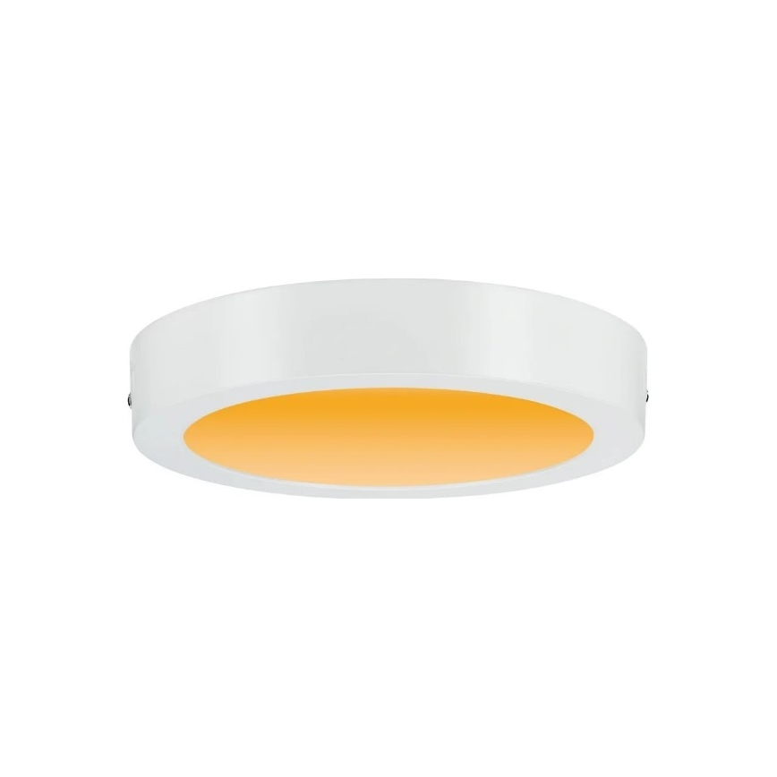 Paulmann 79795 - LED/13W Stropné svietidlo CARPO 230V 2300/2500/3000K