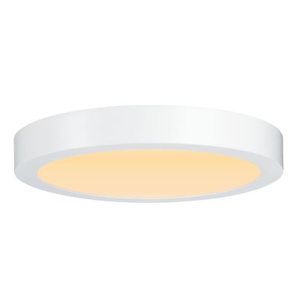 Paulmann 79799 - LED/19W Stropné svietidlo CARPO 230V 2300/2500/3000K