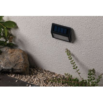 Paulmann 94234 - LED/0,05W IP44 Vonkajšie solárne svietidlo DAYTON 1,2V 400 mAh