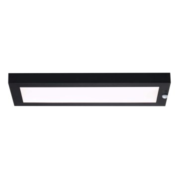 Paulmann 94256_1 - LED/10W IP44 Vonkajšie stropné svietidlo so senzorom 230V