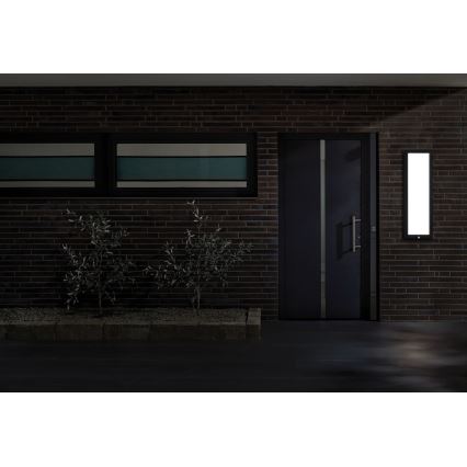 Paulmann 94257_1 - LED/19W IP44 Vonkajšie stropné svietidlo so senzorom 230V