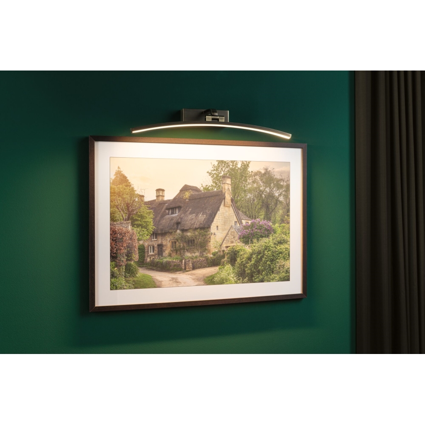 Paulmann 95561 - LED/10 W obrazové svietidlo BENTO 230 V 50 cm mosadz