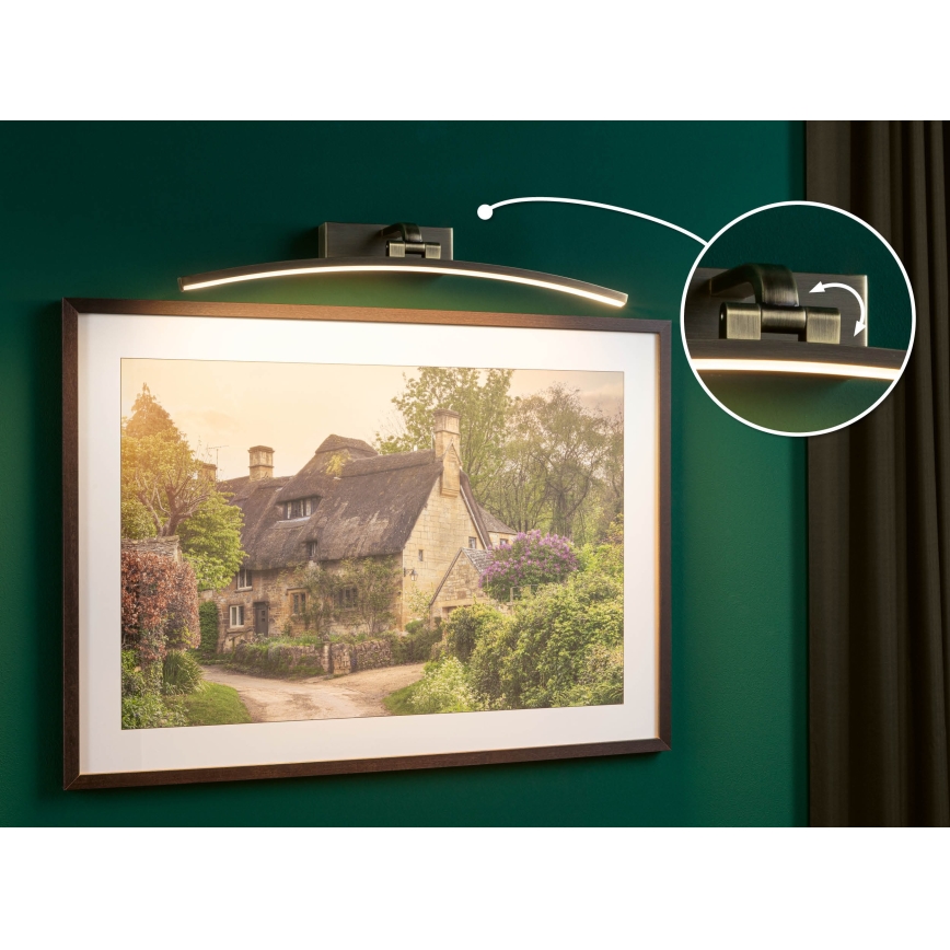 Paulmann 95561 - LED/10 W obrazové svietidlo BENTO 230 V 50 cm mosadz