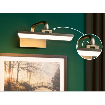 Paulmann 95568 - LED/6W Nástenné svietidlo na obrazy RENAN 230V 30 cm mosadz