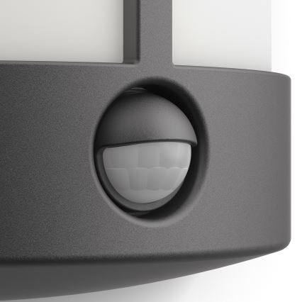 Philips 16465/93/16 - LED vonkajšie nástenné svietidlo s čidlom MYGARDEN STOCK 1xLED/6W/230V
