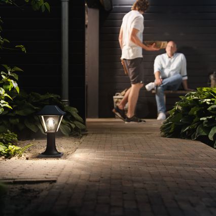 Philips 16496/30/PN - Vonkajšia lampa MYGARDEN ALPENGLOW E27/60W/230V
