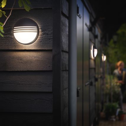 Philips 17296/30/16 - Vonkajšie nástenné svietidlo MYGARDEN YARROW 1xLED/6W/230V