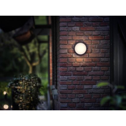 Philips - LED Vonkajšie svietidlo 1xLED/3,5W IP44