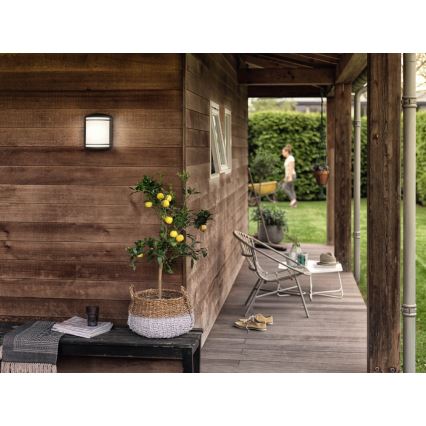 Philips - Vonkajšie nástenné svietidlo LED/6W/230V IP44