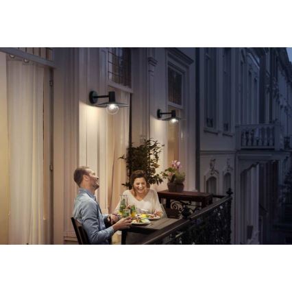 Philips - Vonkajšie svietidlo 1xE27/42W/230V IP44