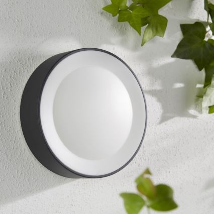 Philips - LED RGBW Stmievateľné vonkajšie nástenné svietidlo Hue DAYLO LED/15W/230V 2000-6500K IP44