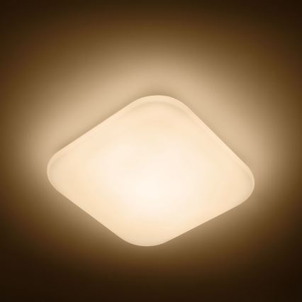 Philips - LED stropné svietidlo 1xLED/17W/230V 2700K