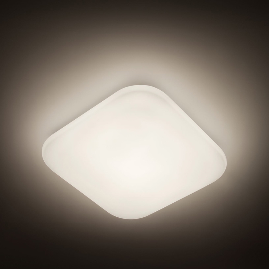 Philips 31110/31/P3 - LED stropné svietidlo MAUVE 1xLED/17W/230V