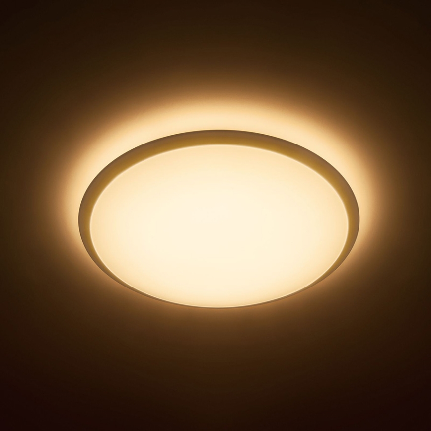 Philips 31822/31/P5 - LED stropné svietidlo WAWEL 1xLED/20W/230V