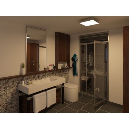 Philips 32203/17/16 - Stropní koupelnové svítidlo INSTYLE PLANO 1x2GX13/40W/230V