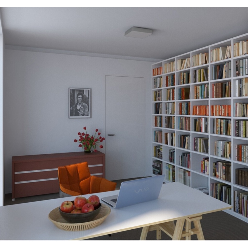 Philips 32203/17/16 - Stropní koupelnové svítidlo INSTYLE PLANO 1x2GX13/40W/230V