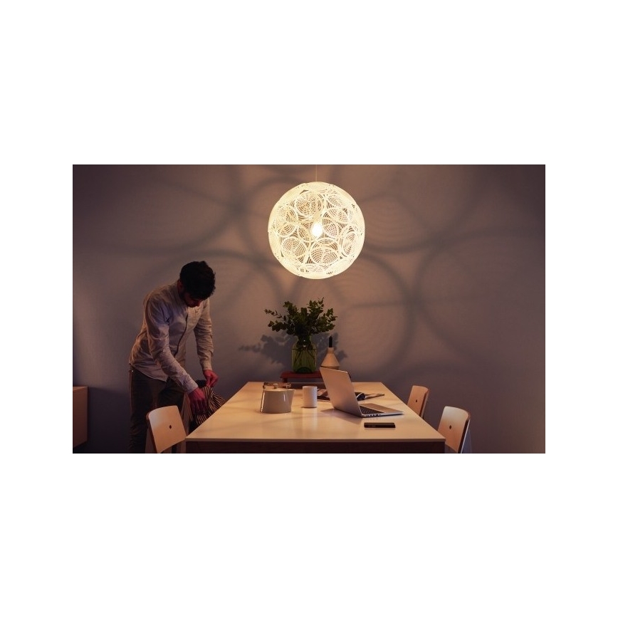 Philips 40913/31/PN - Stropné závesné svietidlo MYLIVING RING E27/60W/230V