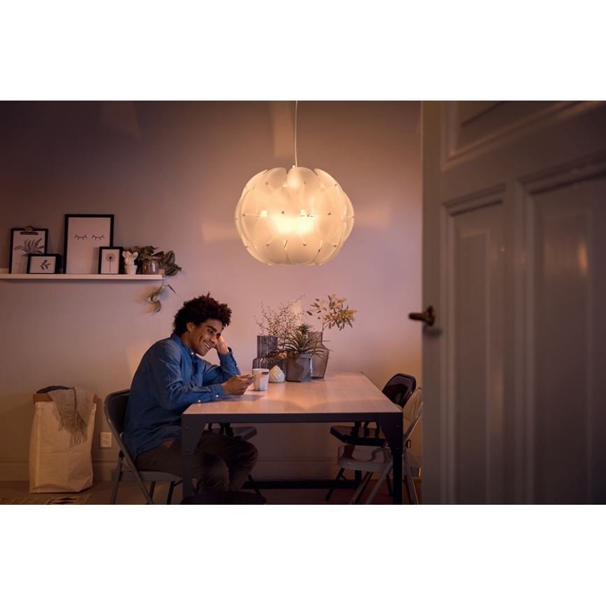 Philips - Závesné svietidlo 1xE27/60W/230V