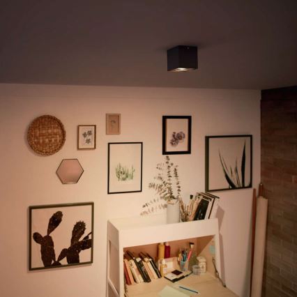 Philips 50491/30/P0 - LED bodové svietidlo MYLIVING BOX 1xLED/4,5W/230V