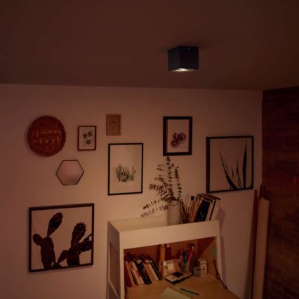 Philips 50491/30/P0 - LED bodové svietidlo MYLIVING BOX 1xLED/4,5W/230V