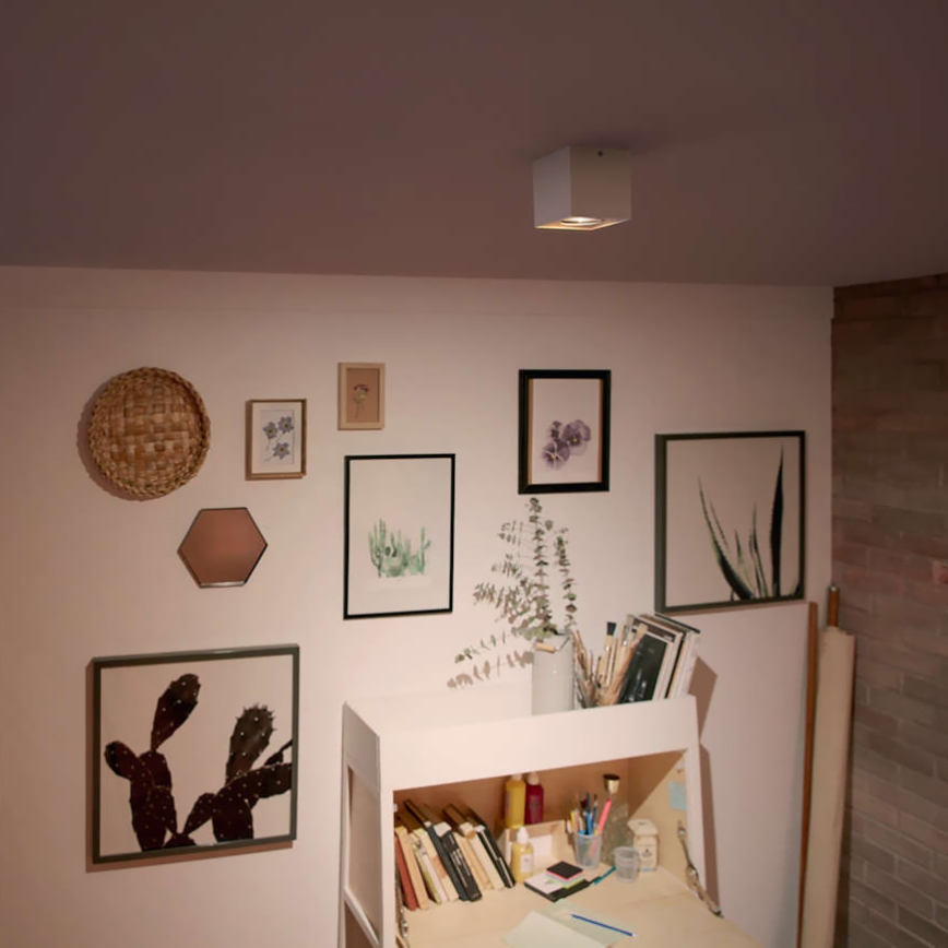 Philips 50491/31/P0 - LED bodové svietidlo MYLIVING BOX 1xLED/4,5W/230V