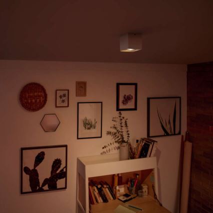 Philips 50491/31/P0 - LED bodové svietidlo MYLIVING BOX 1xLED/4,5W/230V