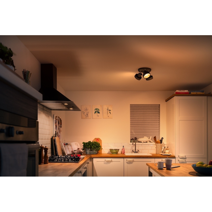 Philips 50603/30/P0 - LED Stmievateľné bodové svietidlo BUKKO 3xLED/4,3W/230V