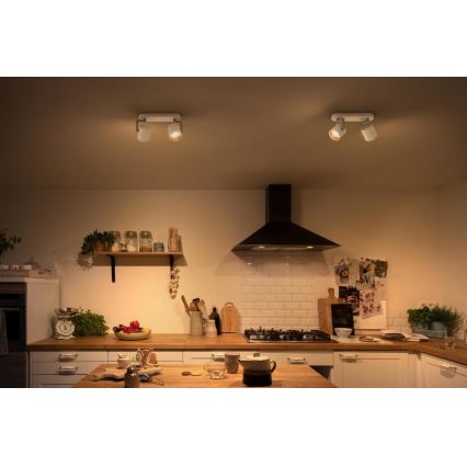Philips - LED  Stmievateľné bodové svietidlo 2xLED/4.5W/230V
