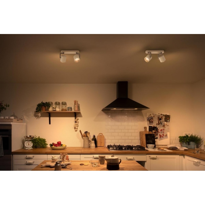 Philips - LED  Stmievateľné bodové svietidlo 2xLED/4.5W/230V