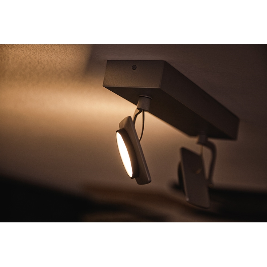 Philips 53192/48/P0 - LED Bodové svietidlo MILLENNIUM 2xLED/4,5W/230V