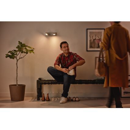 Philips 53192/48/P0 - LED Bodové svietidlo MILLENNIUM 2xLED/4,5W/230V