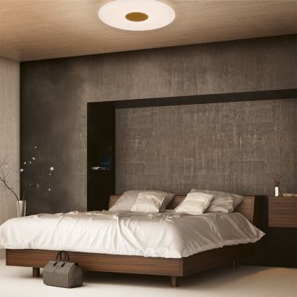 Philips 61083/31/P5 - LED Stmievateľné stropné svietidlo HARAZ LED/30W/230V