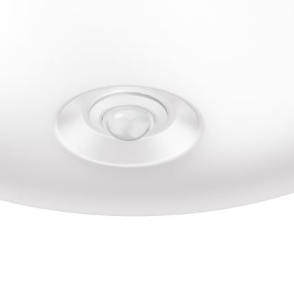Philips 62234/31/P0 - LED senzorové osvetlenie MYLIVING MAUVE PIR 4xLED/4W/230V